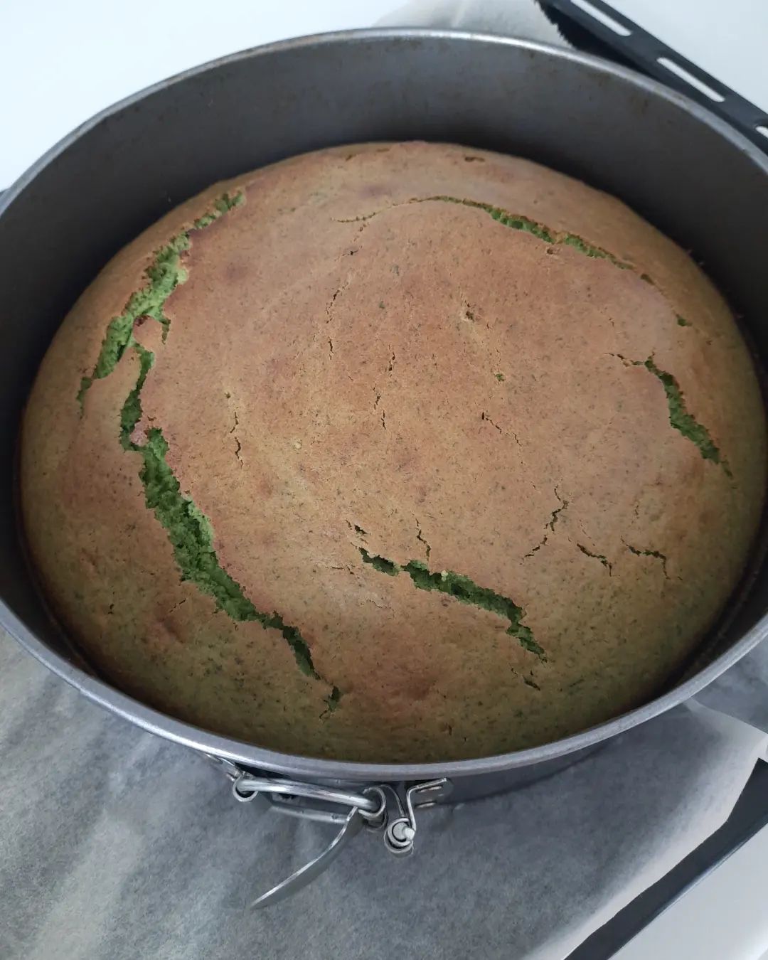 Ispanaklı Yaş Pasta Tarifi